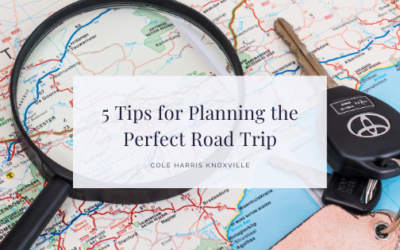 5 Tips for Planning the Perfect Road Trip