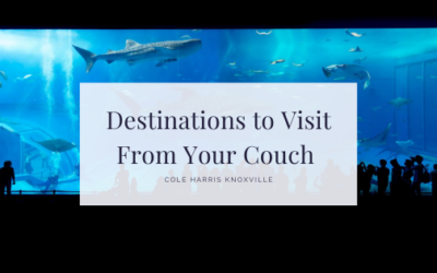 Destinations to Visit From Your Couch