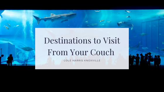 Destinations to Visit From Your Couch